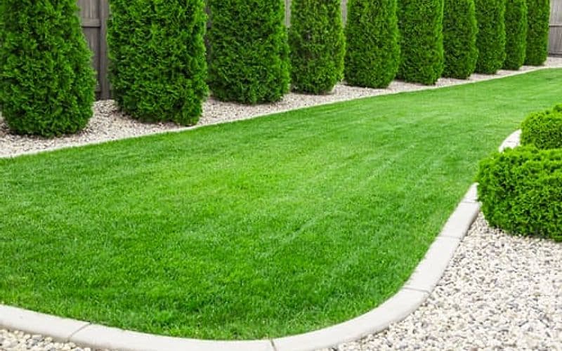 Freshly striped green lawn with clean edges beside trimmed hedges on a Hamptons property