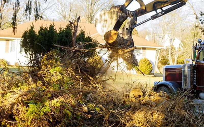 Crane lifting a large tree section during a controlled residential tree removal